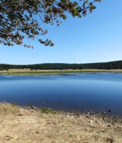 Etang de pêche du Barrandon